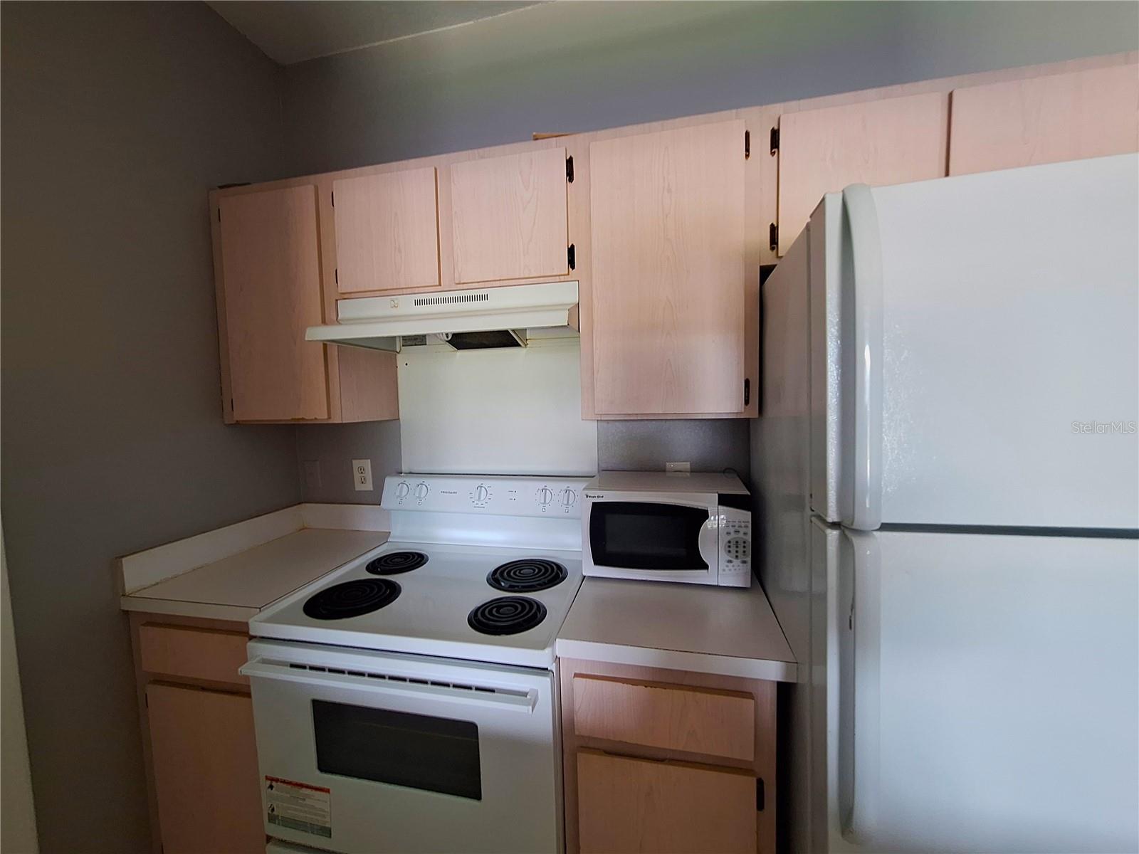 12906 SANCTUARY COVE DR #304 — photo 4