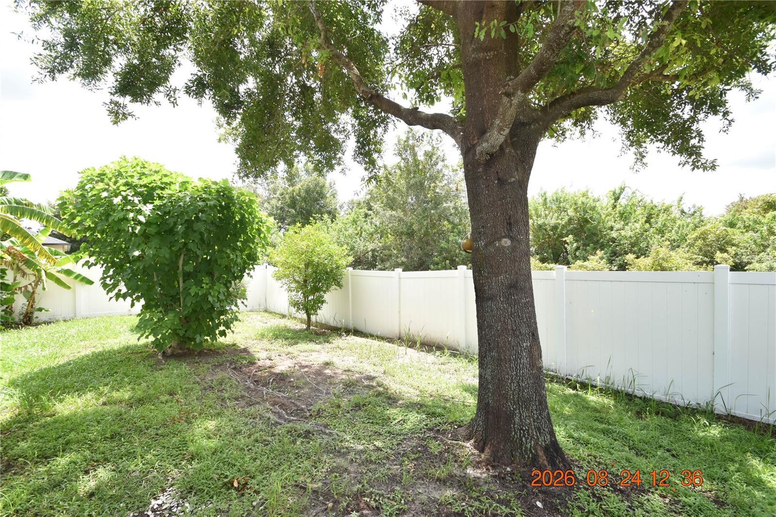 11405 FLORA SPRINGS DR — photo 62