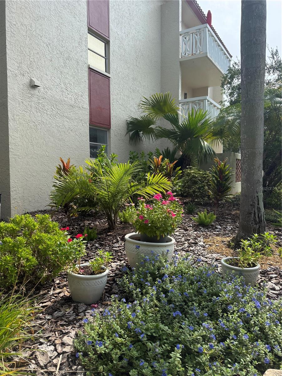 1012 PEARCE DR #111 — photo 38