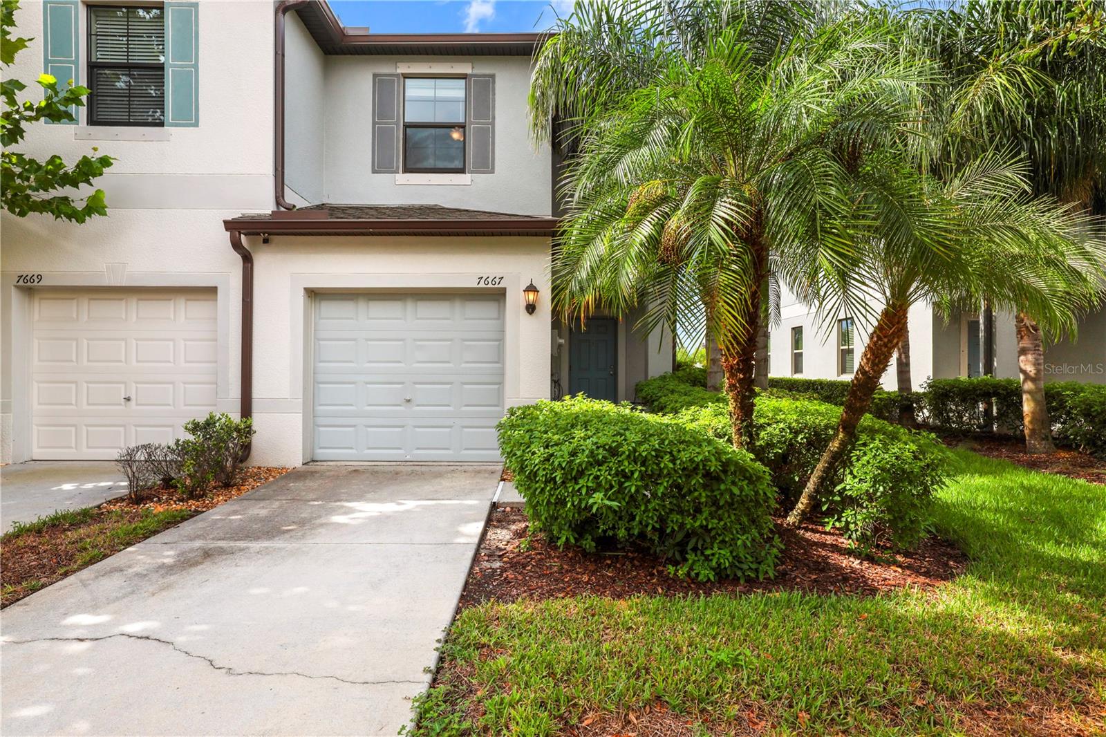 7667 GINGER LILY CT — photo 5