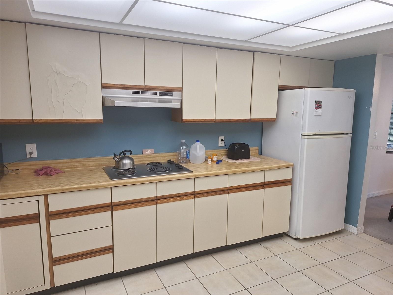 504 S FLORIDA AVE #215 — photo 6