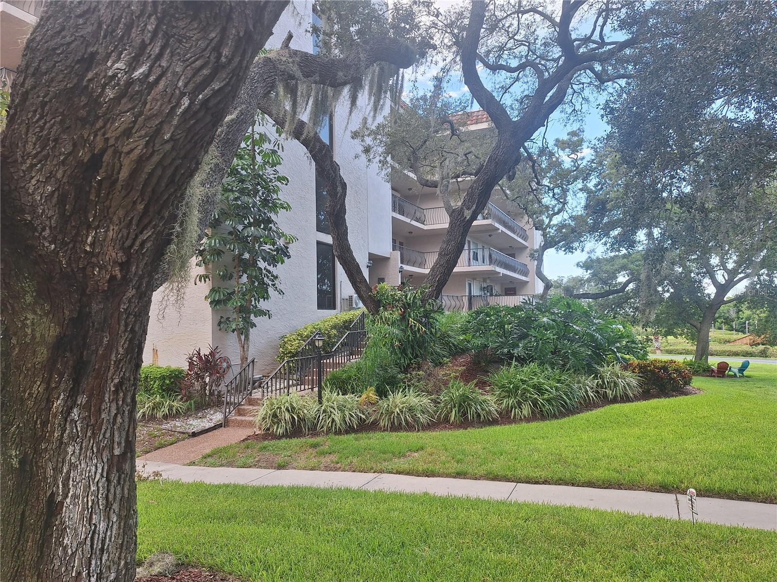 504 S FLORIDA AVE #215 — photo 2