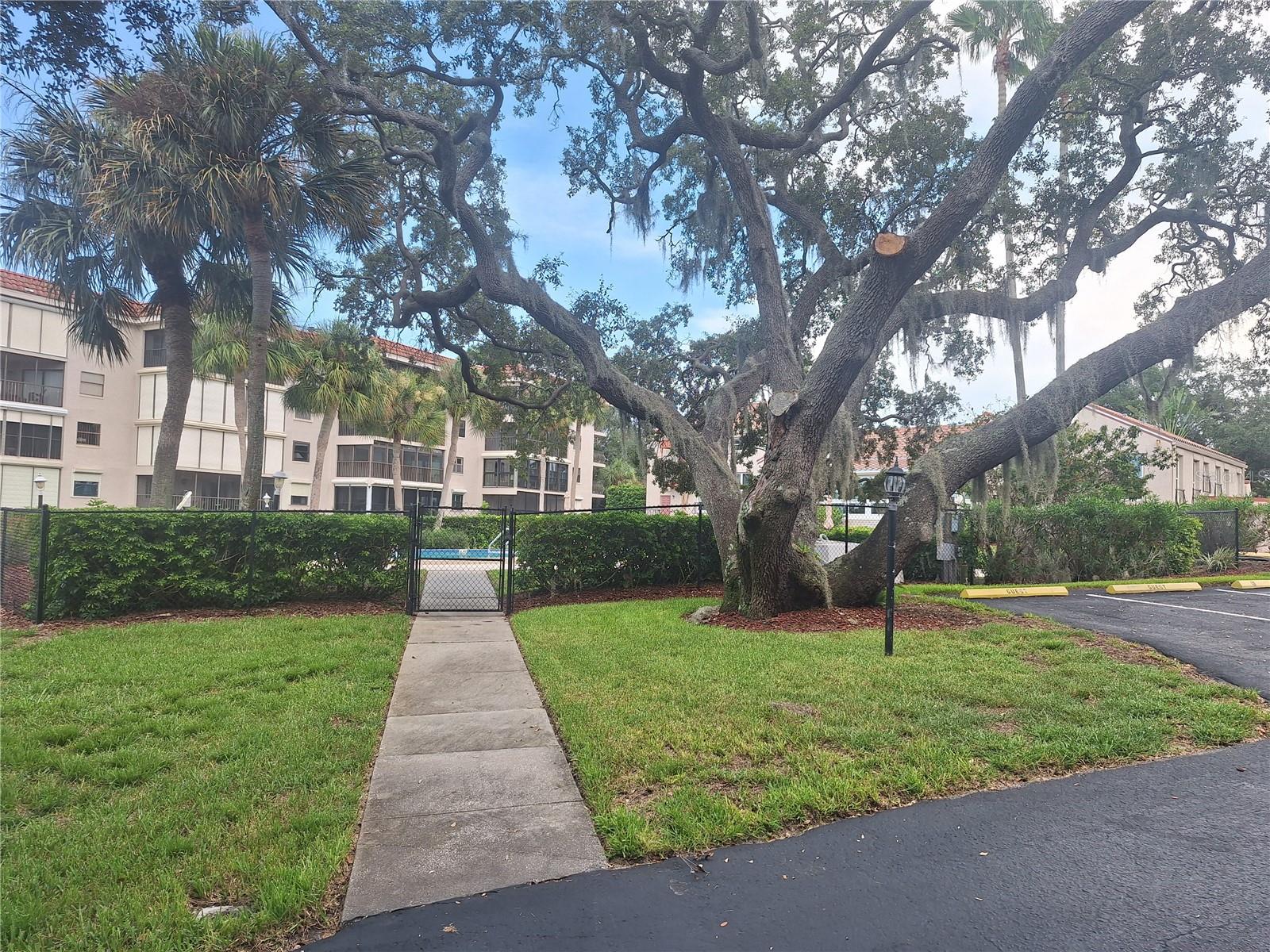 504 S FLORIDA AVE #215 — photo 28