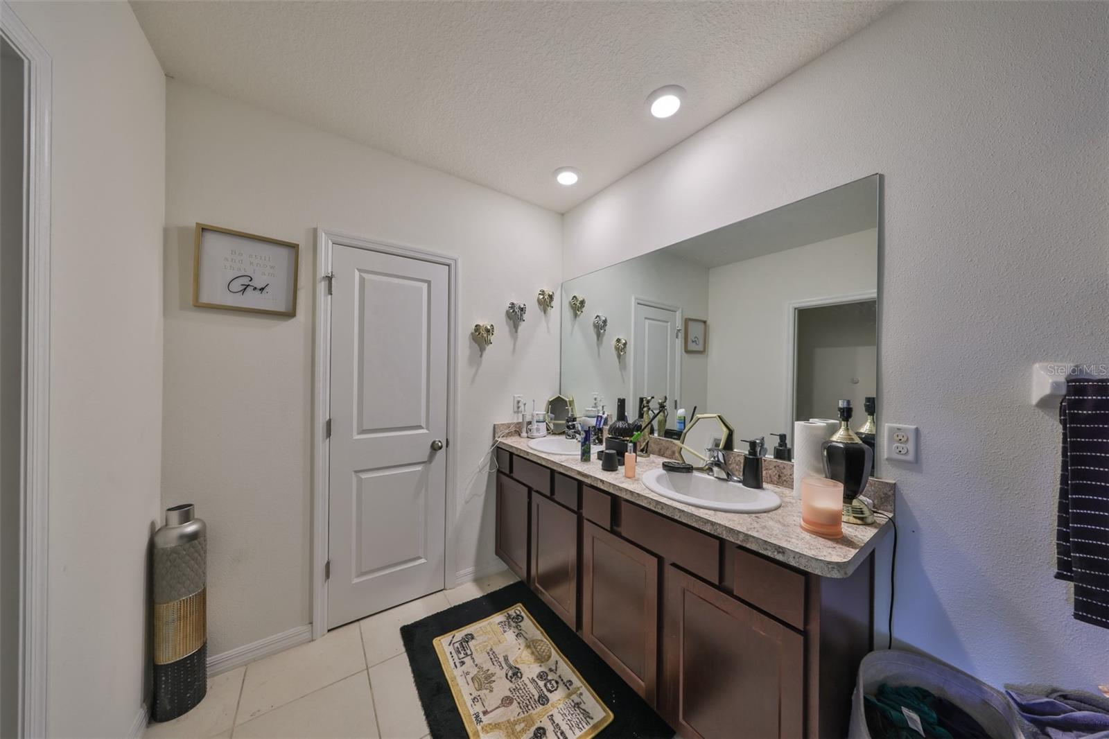10967 CARLTON FIELDS DR — photo 23