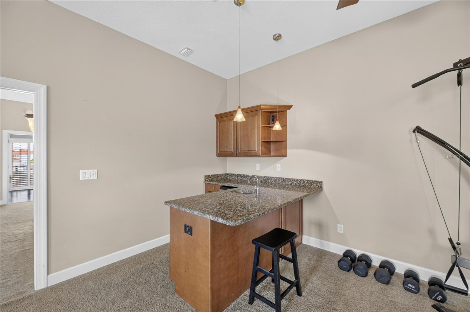1231 ACAPPELLA LN — photo 71