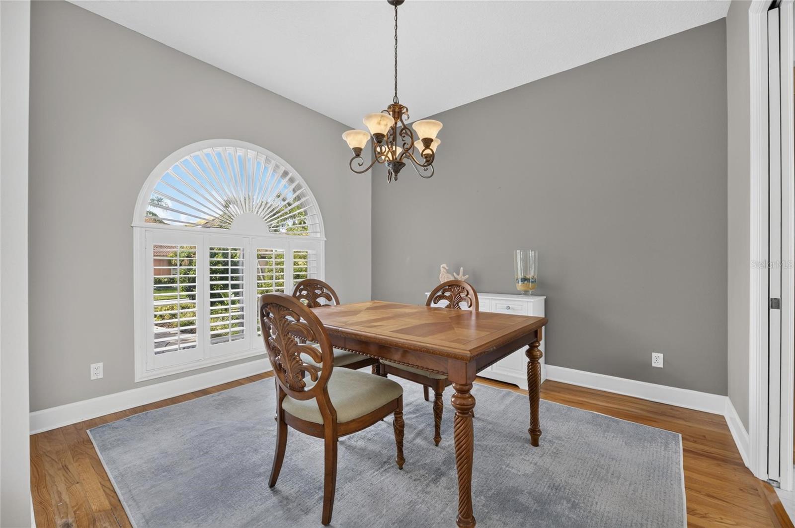 1231 ACAPPELLA LN — photo 14
