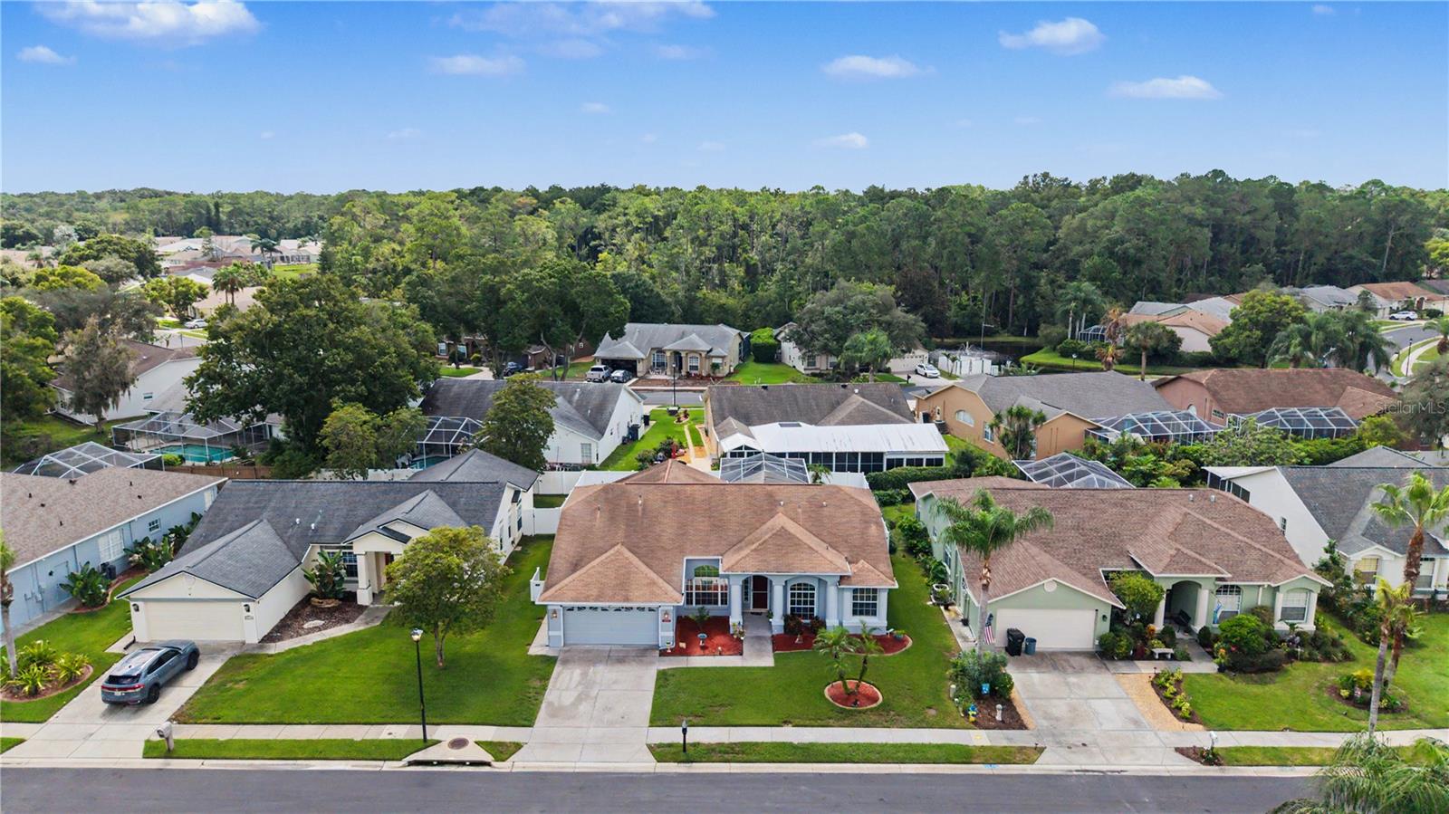 12040 PENZANCE LN — photo 38