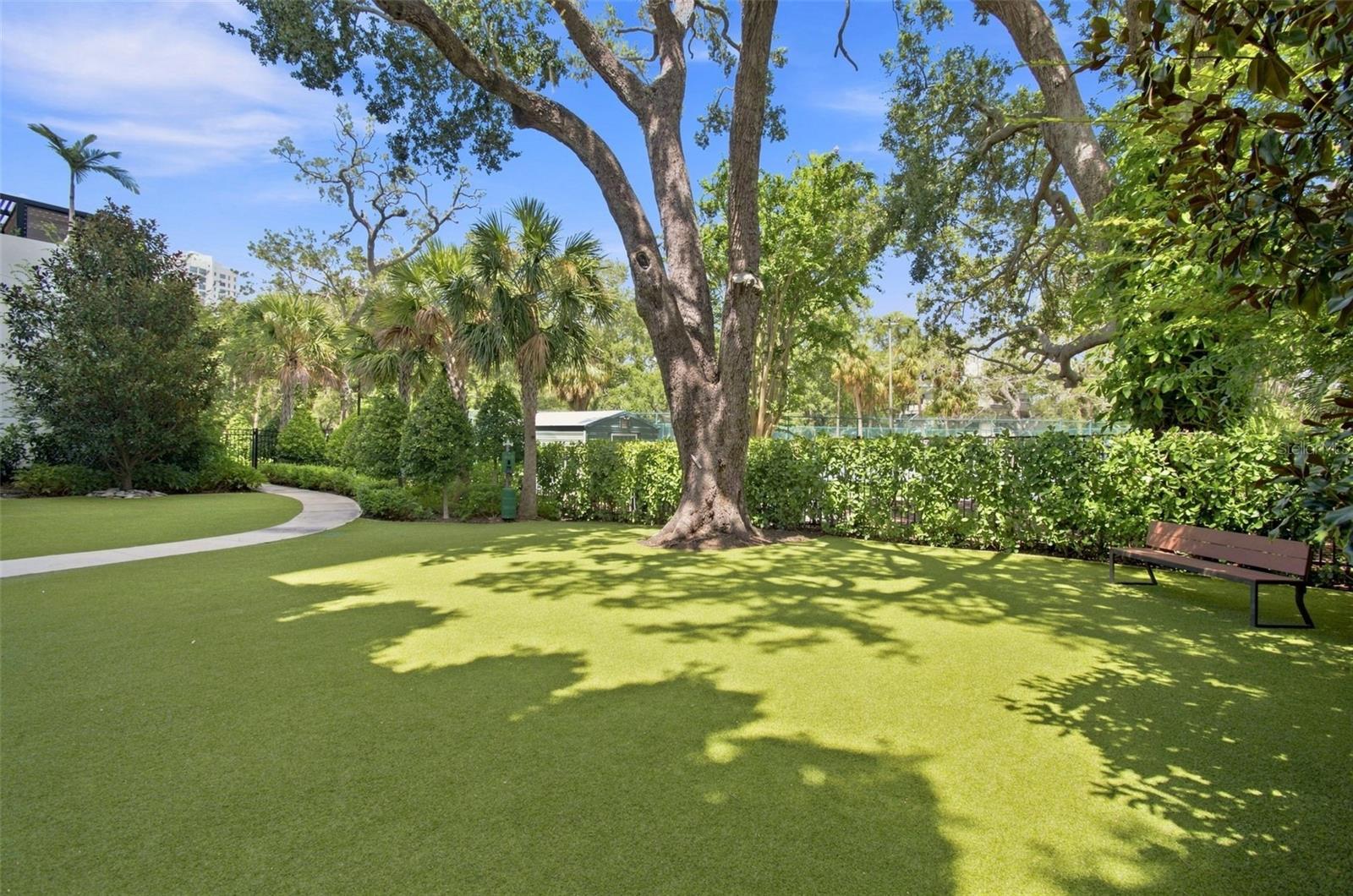 2619 BAYSHORE BLVD #1200 — photo 54