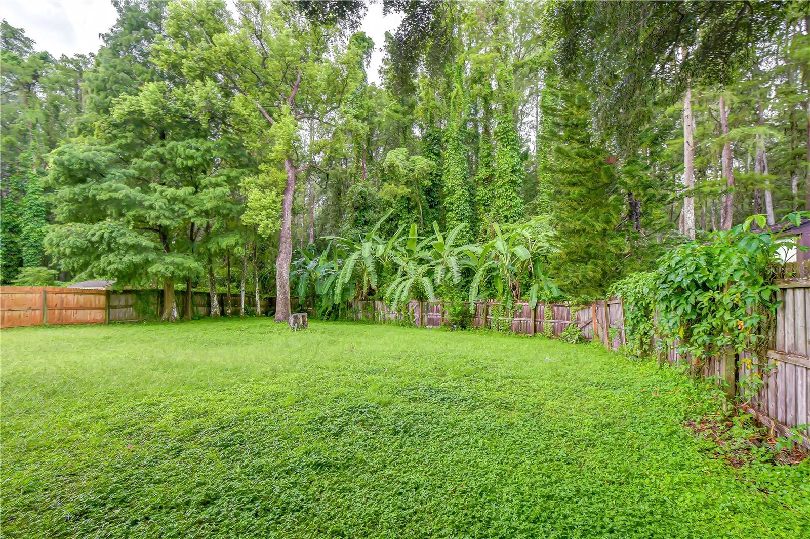 16122 OAKMANOR DR — photo 15