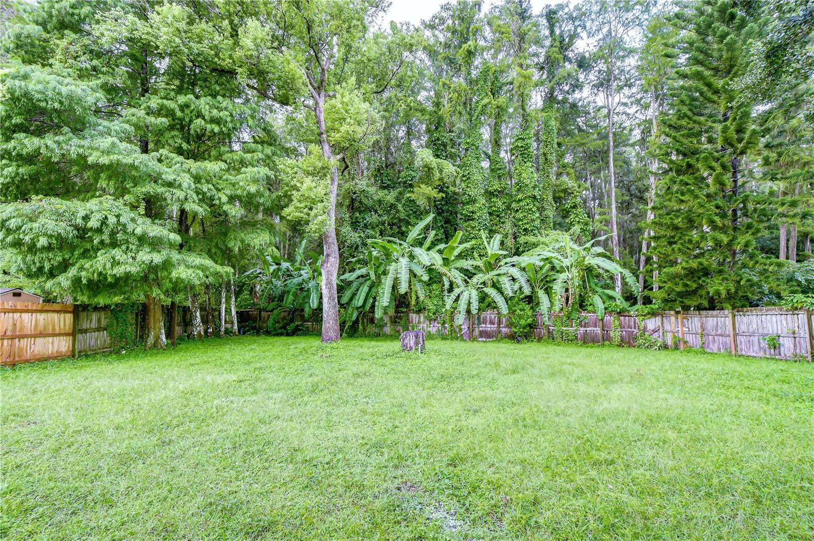 16122 OAKMANOR DR — photo 12