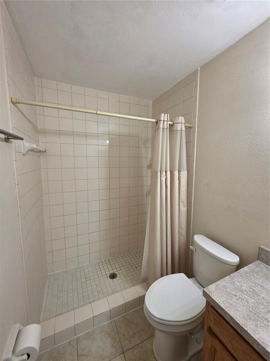 5202 SUNRIDGE PALMS DR #5202 — photo 19