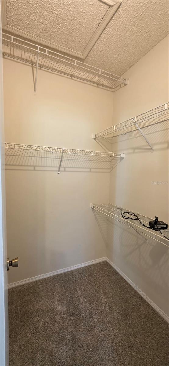 4115 CHATHAM OAK CT #210 — photo 21