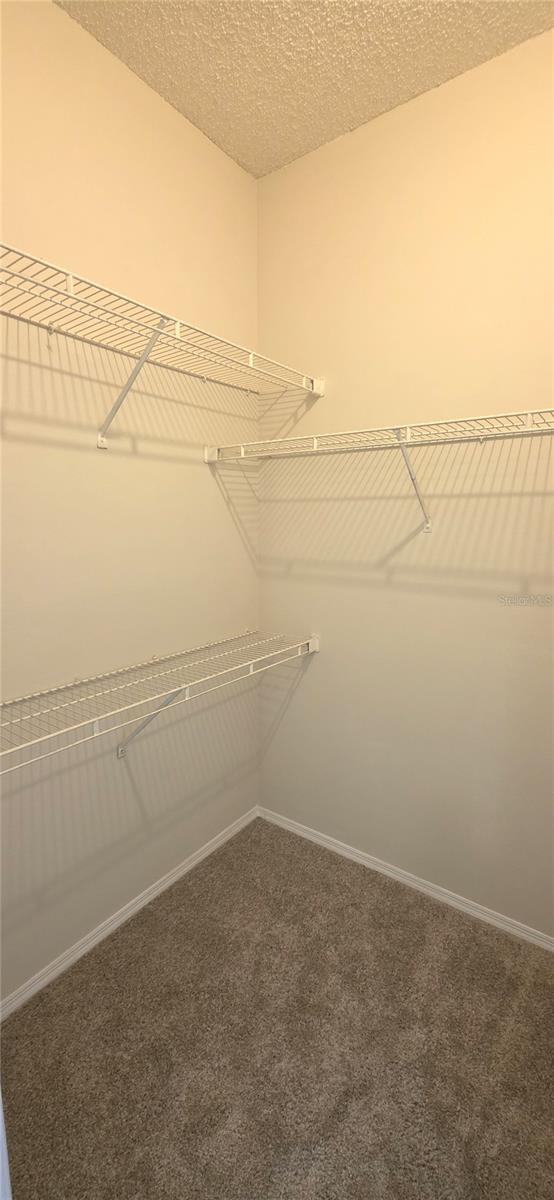 4115 CHATHAM OAK CT #210 — photo 28