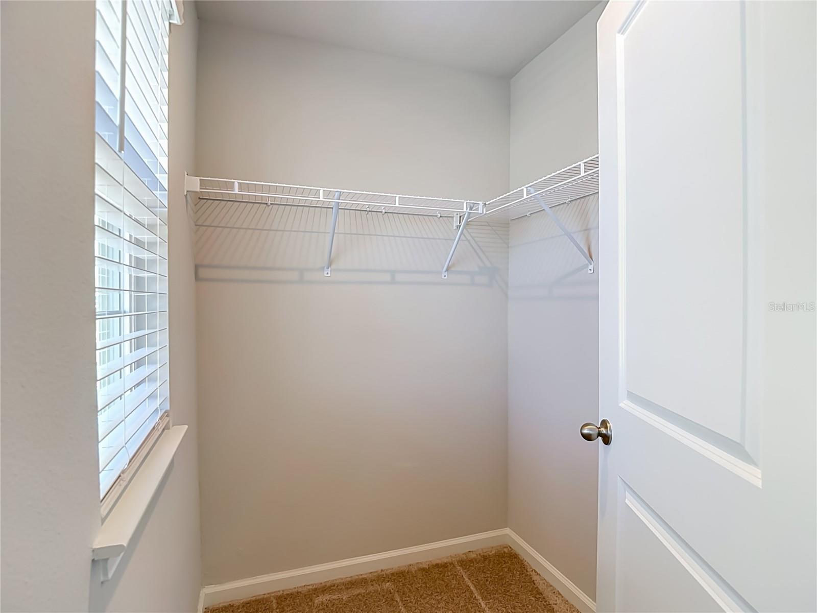 2376 AUDUBON PRESERVE LN — photo 43