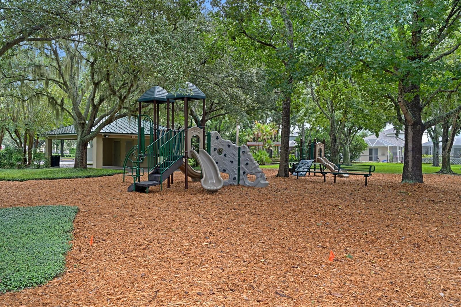 2313 EDELWEISS LOOP — photo 48