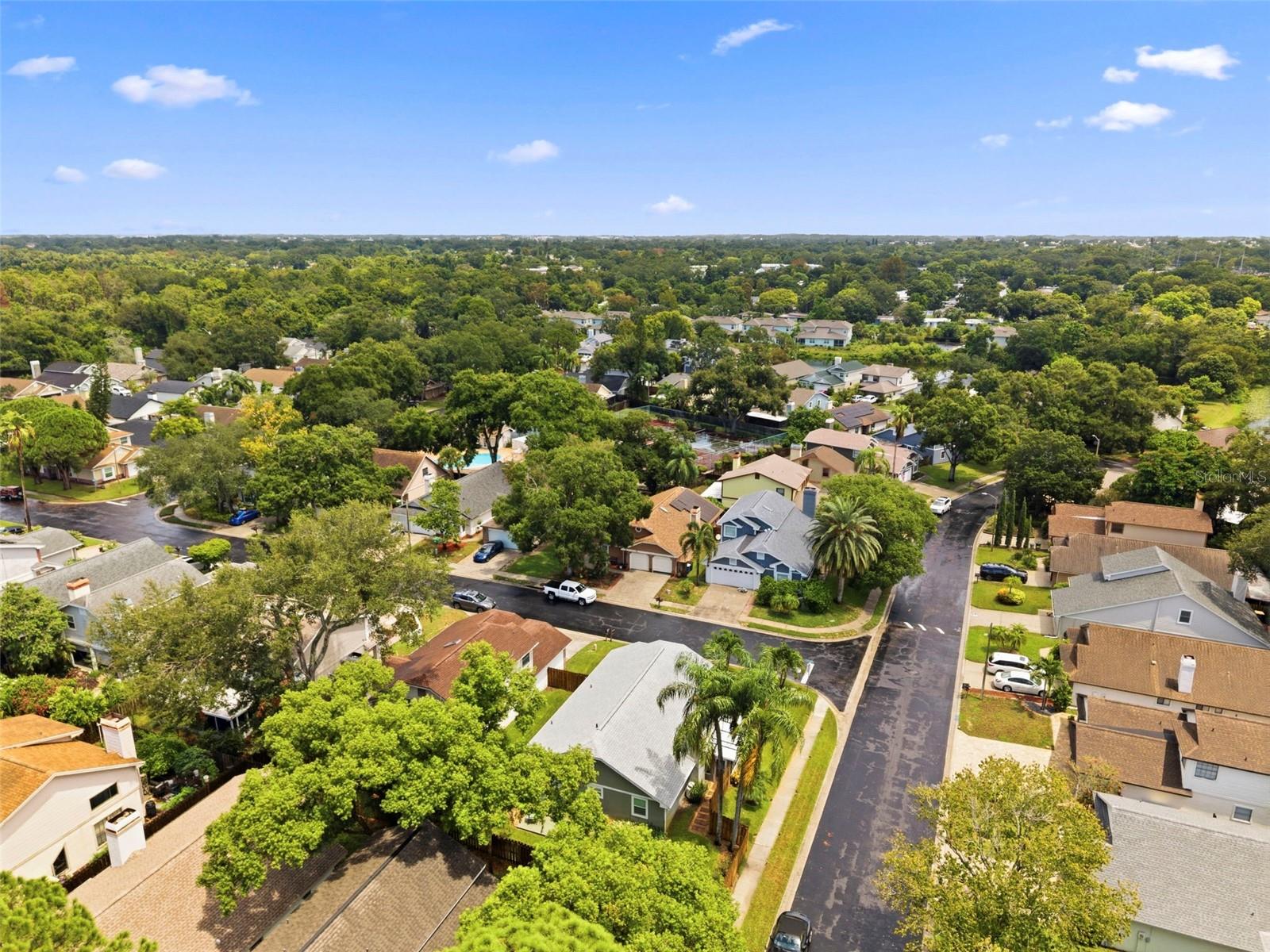 2234 SPRINGFLOWER DR. — photo 55