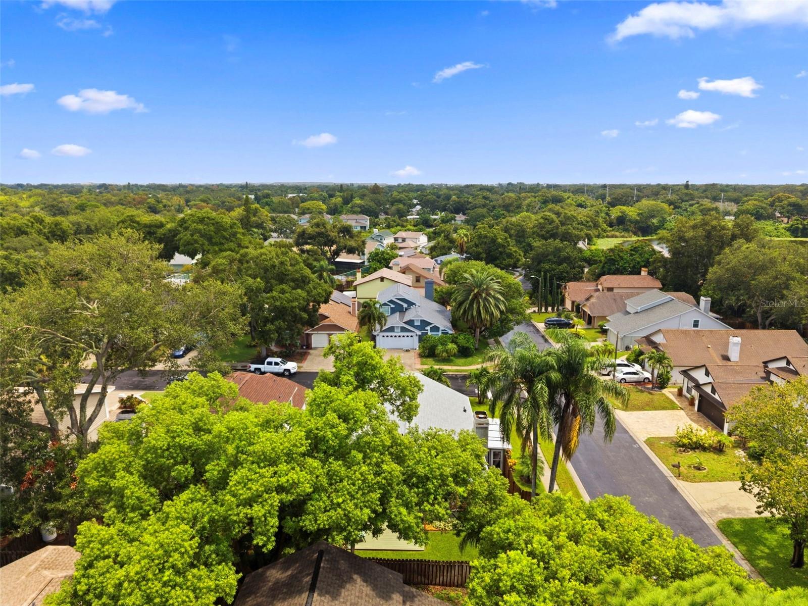 2234 SPRINGFLOWER DR. — photo 54