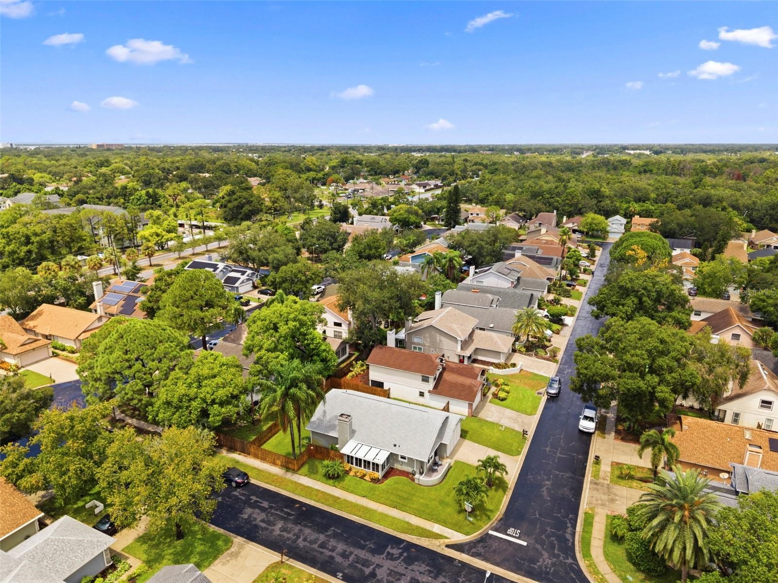 2234 SPRINGFLOWER DR. — photo 47