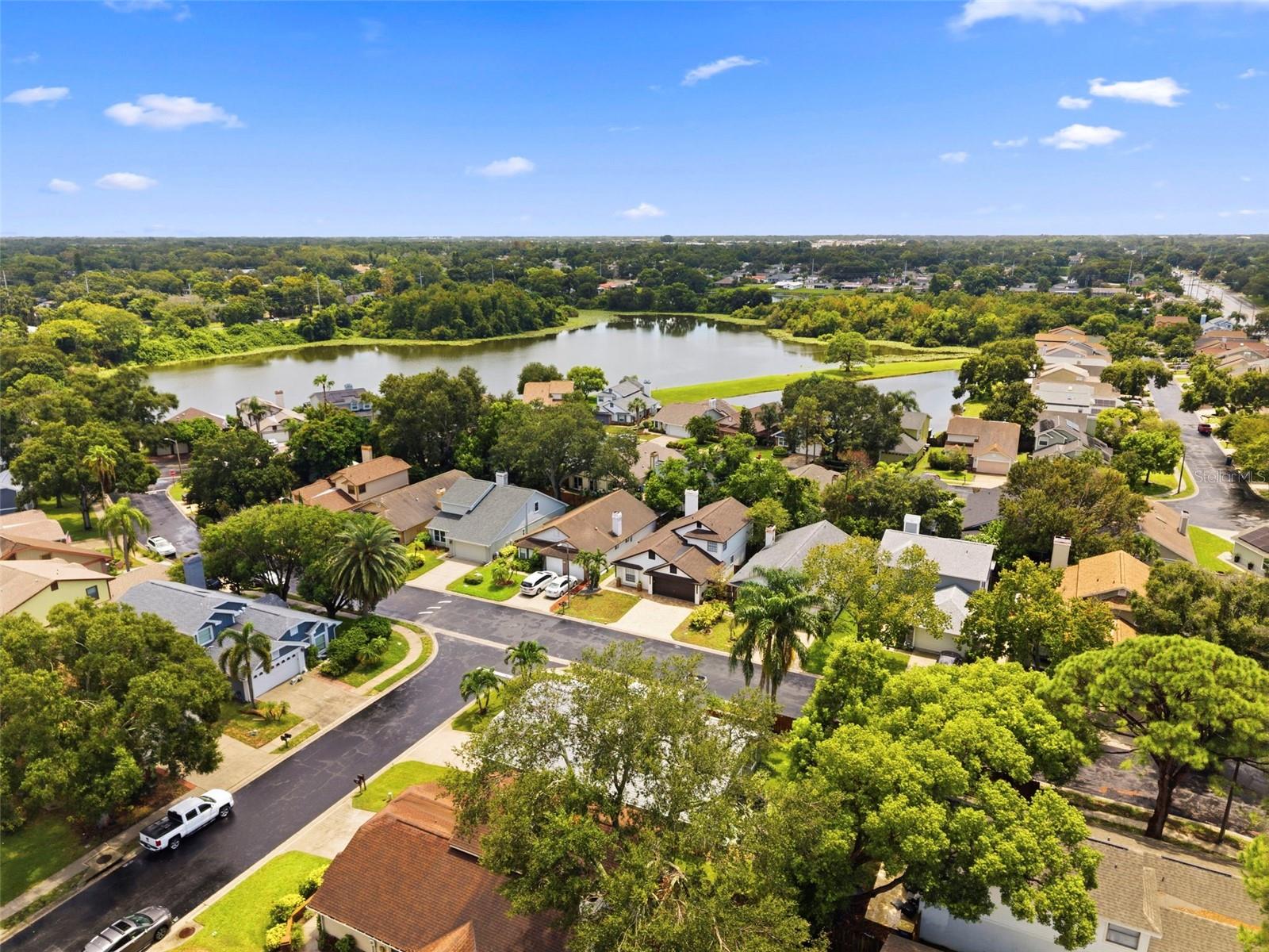 2234 SPRINGFLOWER DR. — photo 56