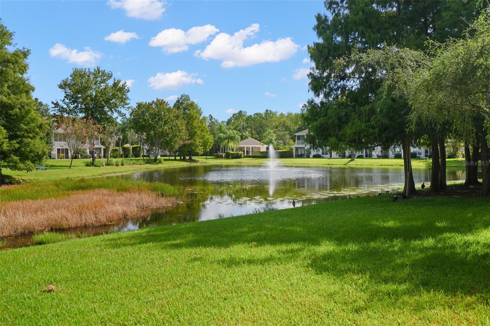 14020 WATERVILLE CIR — photo 5