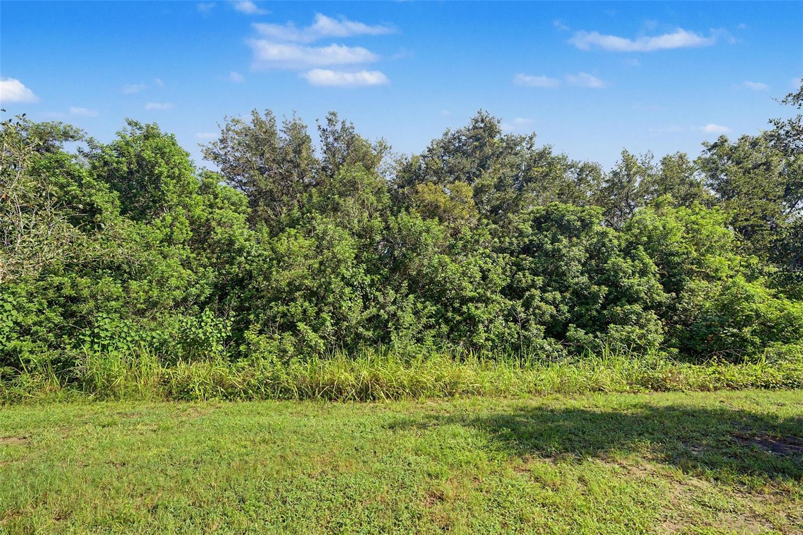 9706 PEMBROOKE PINES DR — photo 29