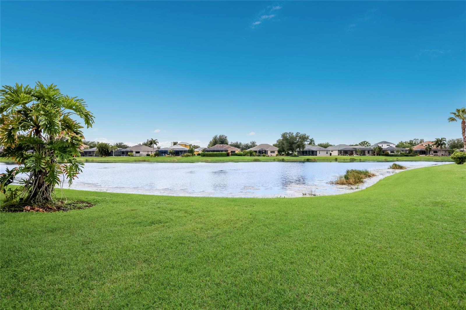 248 DAHLIA CT — photo 33
