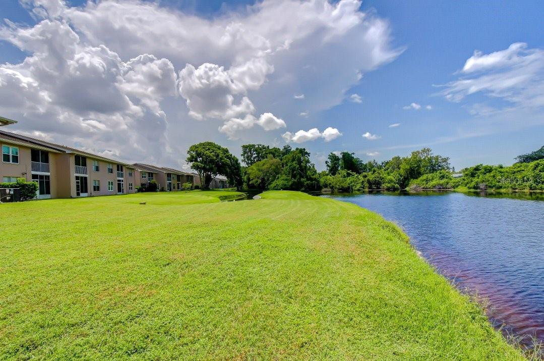 4925 MYRTLE OAK DR #25 — photo 47