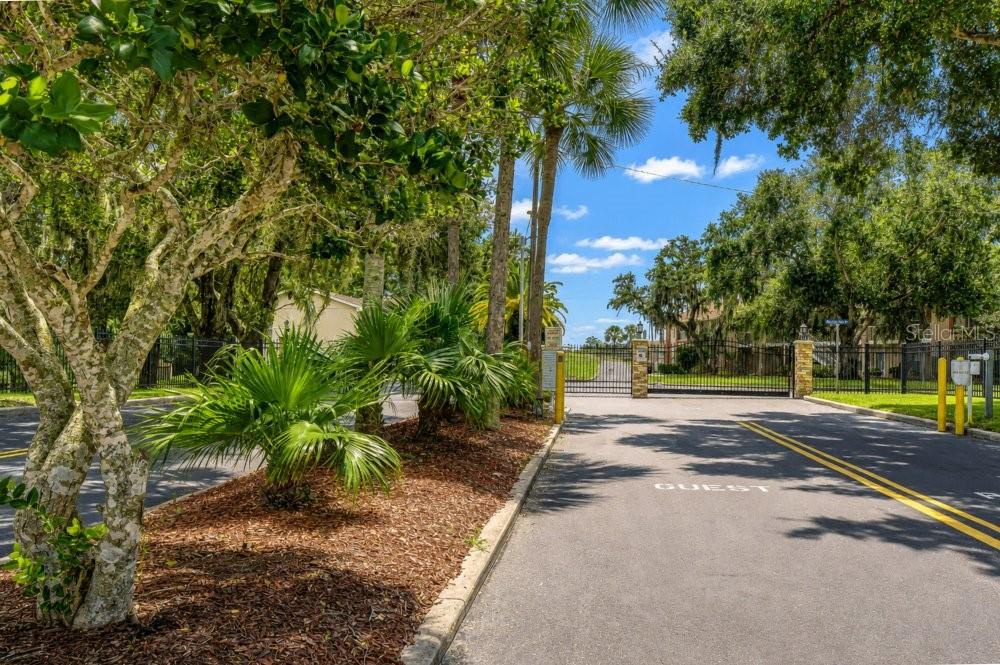 4925 MYRTLE OAK DR #25 — photo 54
