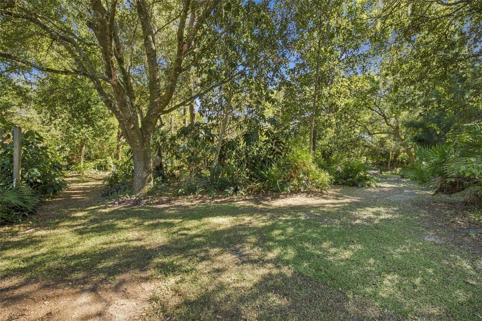 19709 HIAWATHA RD — photo 34