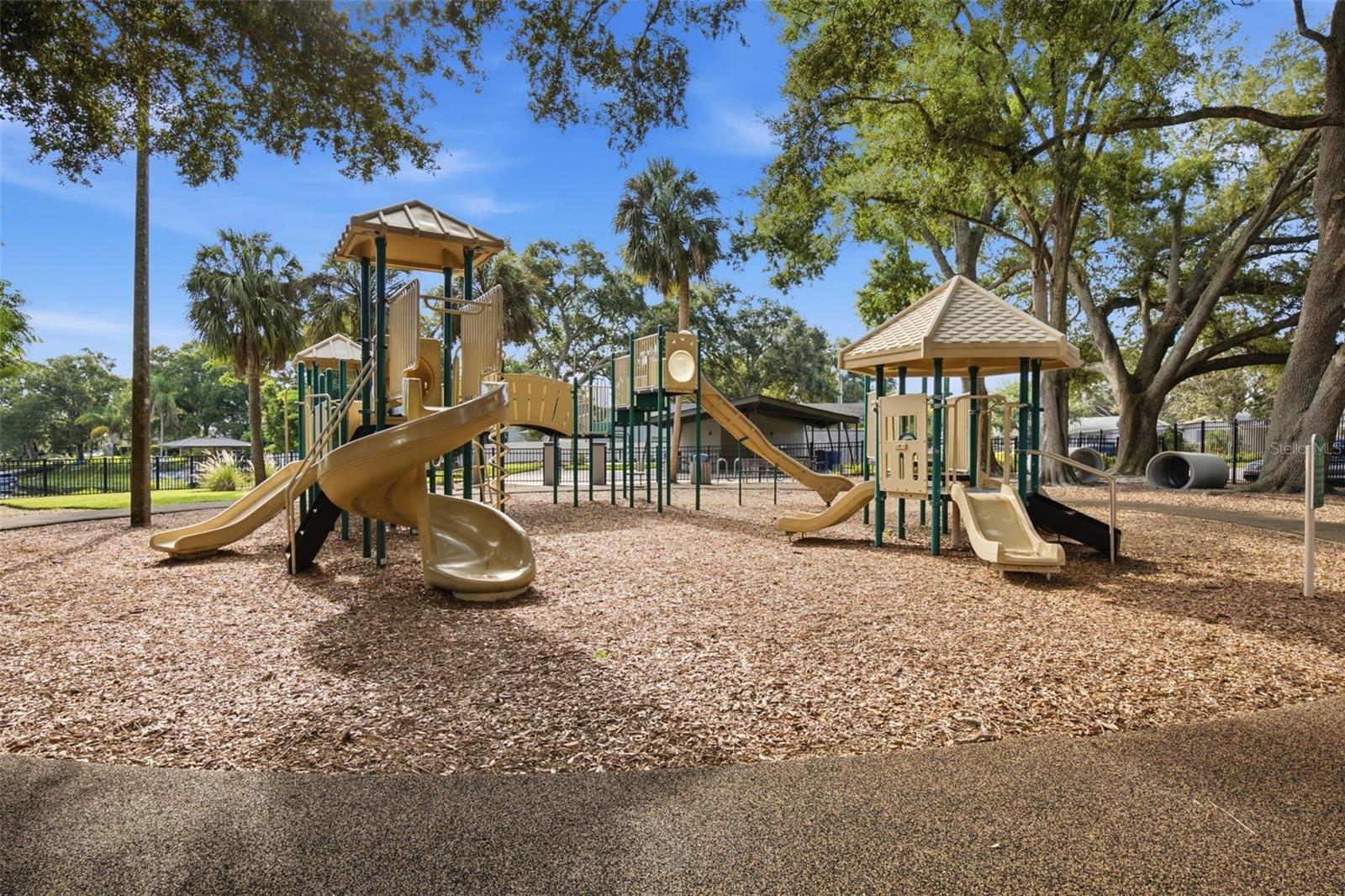 10715 CARROLLWOOD DR — photo 47