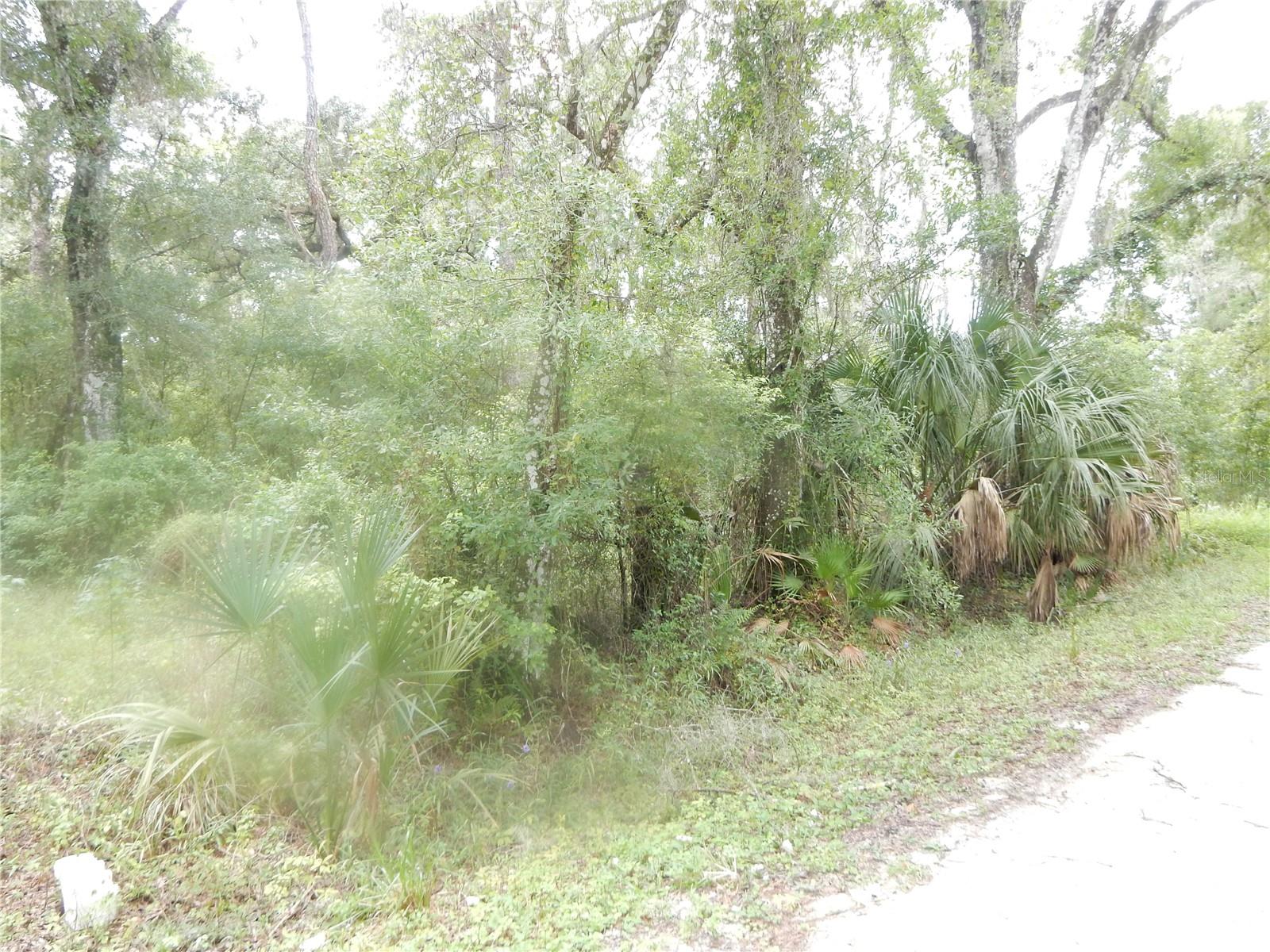 CENTRAL AVE — photo 3