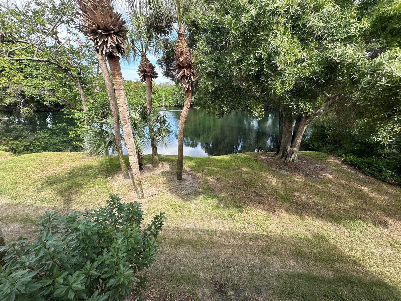 113 PINEHURST DR #113 — photo 13