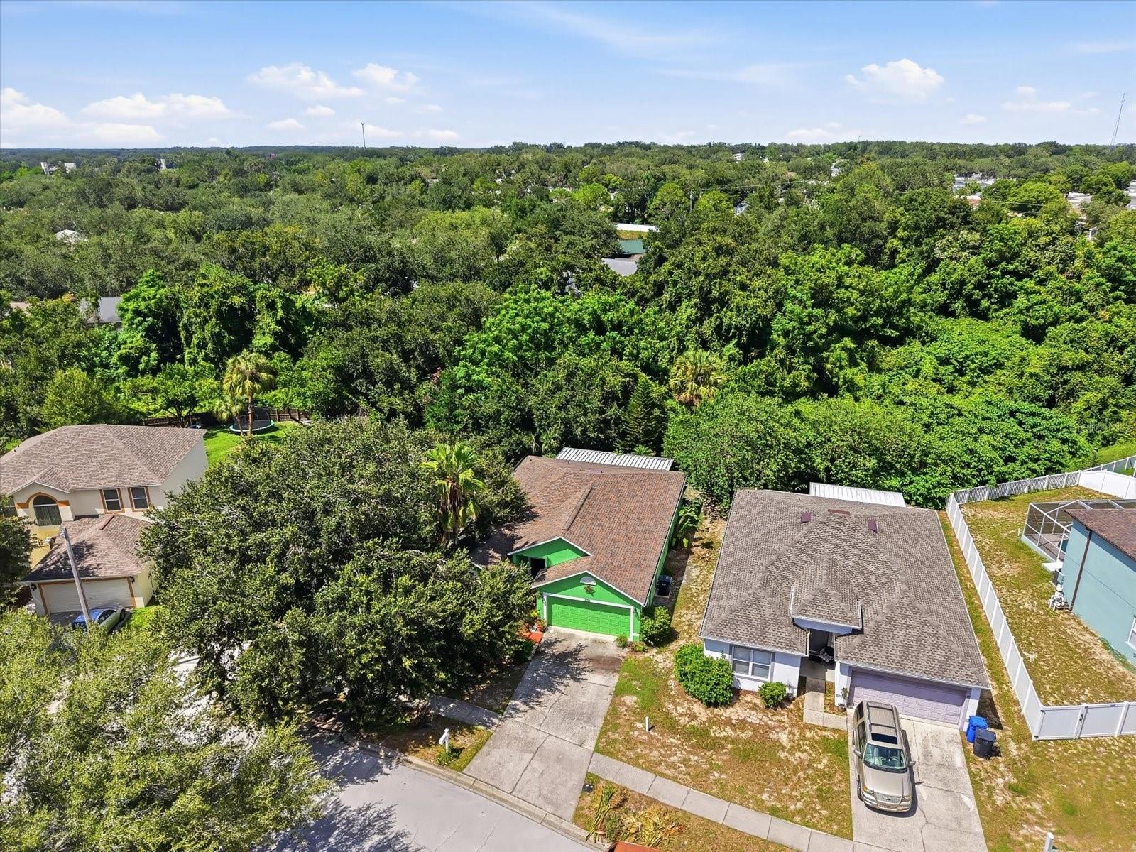 809 ROCKY MOUNTAIN CT — photo 2