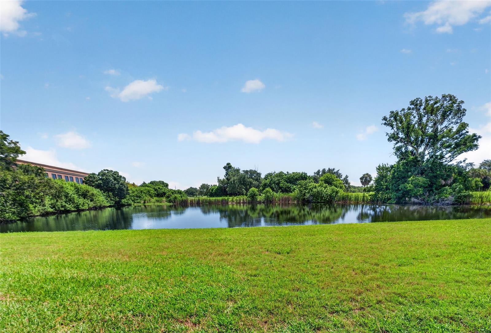 10811 INDIAN HILLS CT #37 — photo 36
