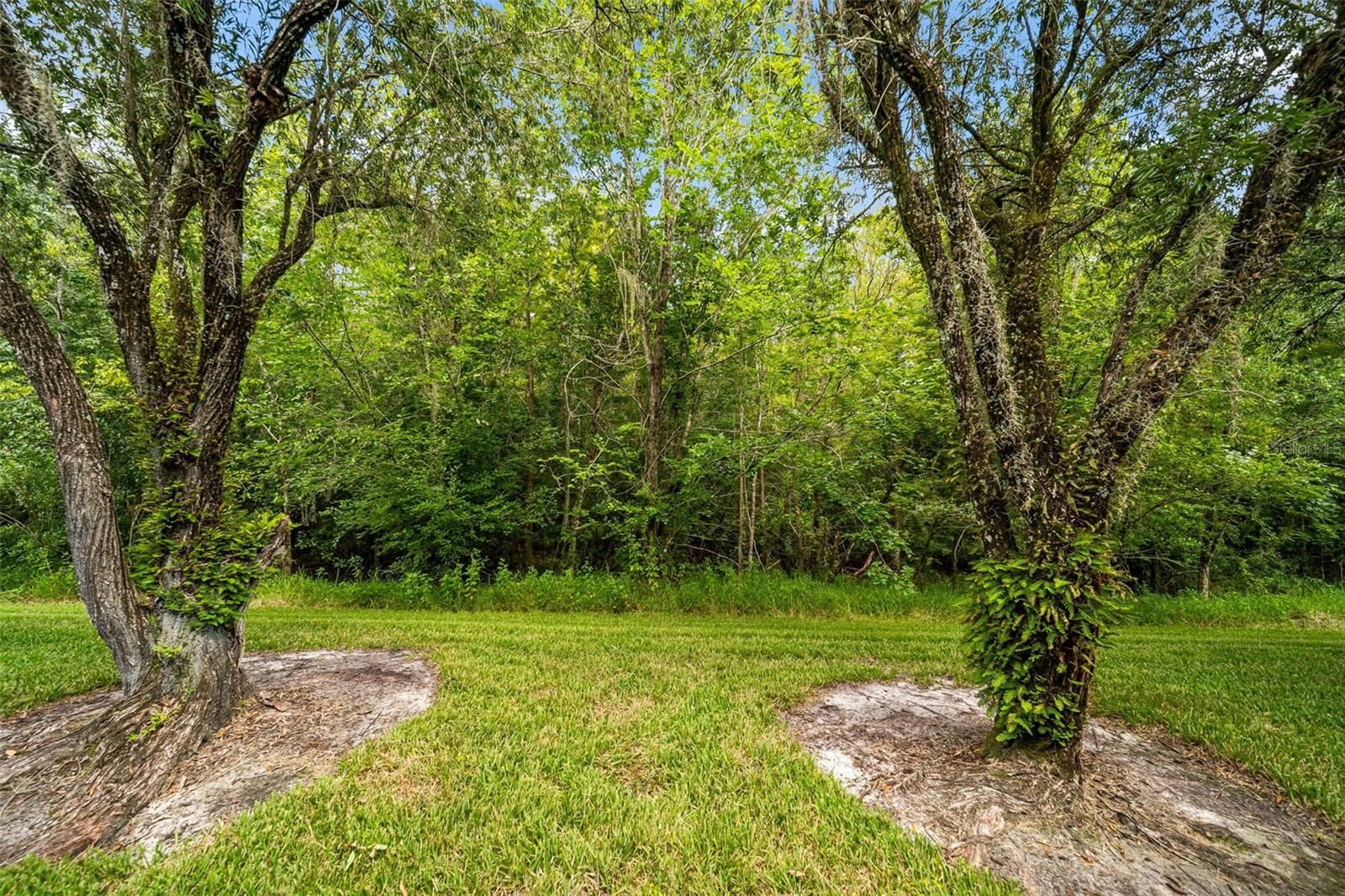 18171 PARADISE POINT DR — photo 16