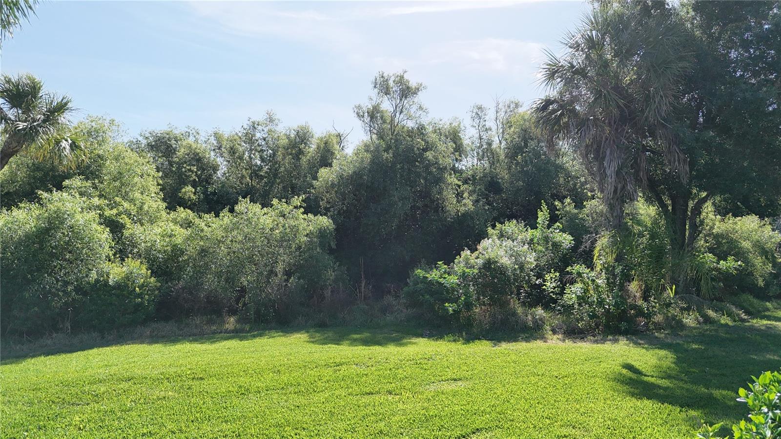 5174 PINE SHADOW LN — photo 40