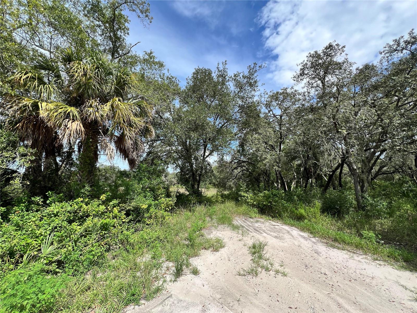 13339 VIVIAN LN — photo 3
