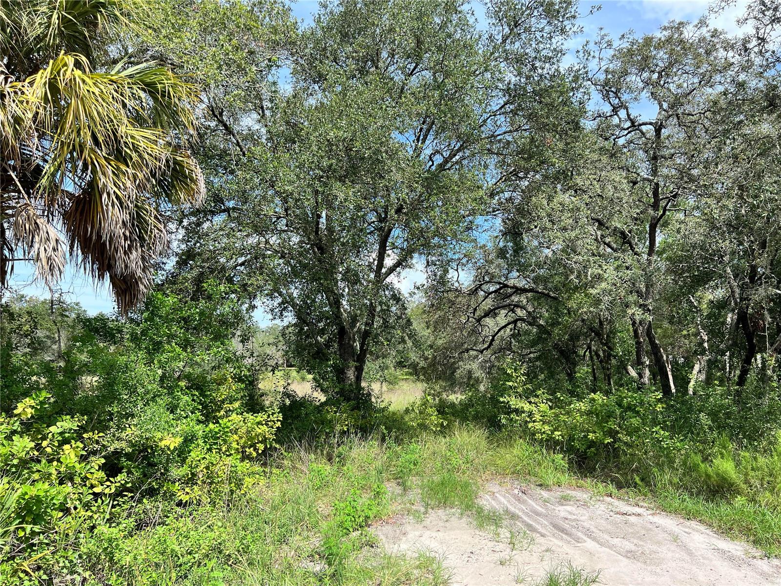 13339 VIVIAN LN — photo 2