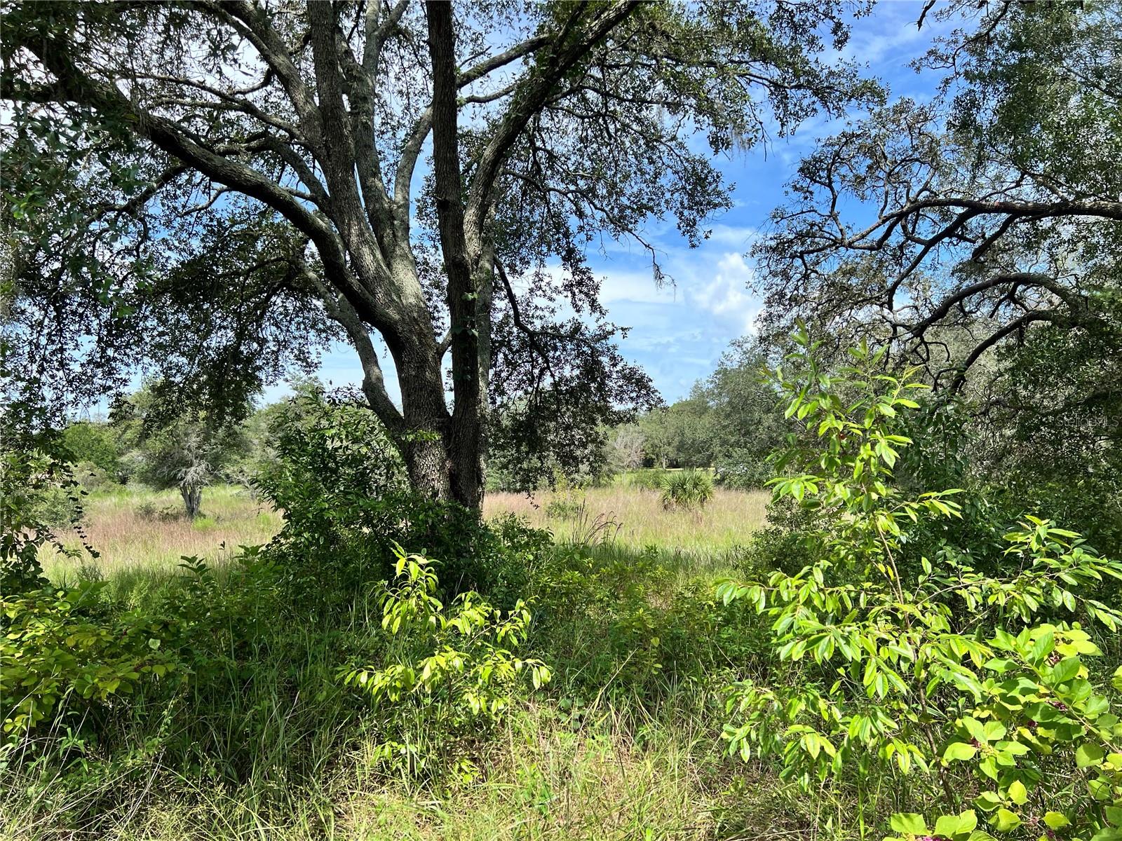 13339 VIVIAN LN — photo 4