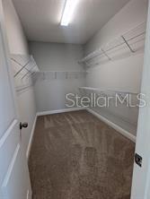 5834 LONG SHORE LOOP — photo 9