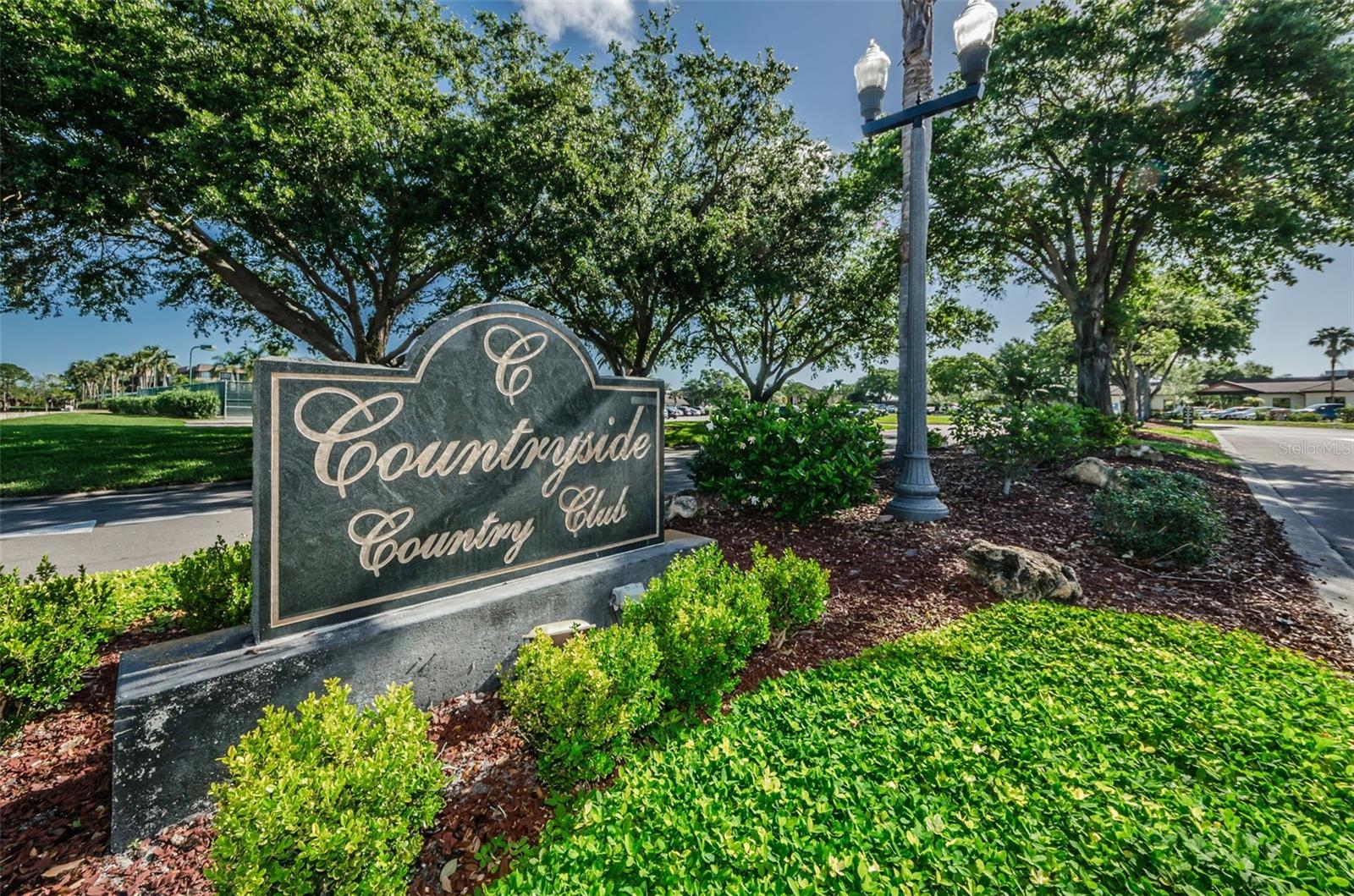 3276 FOX HILL DR — photo 45