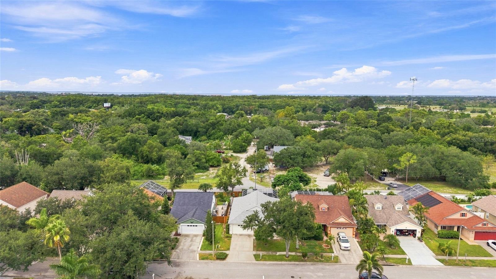1702 MEADOW OAK LN — photo 41
