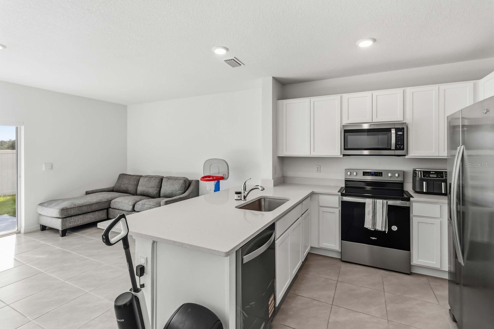4461 RACHEL FALLS DR — photo 7