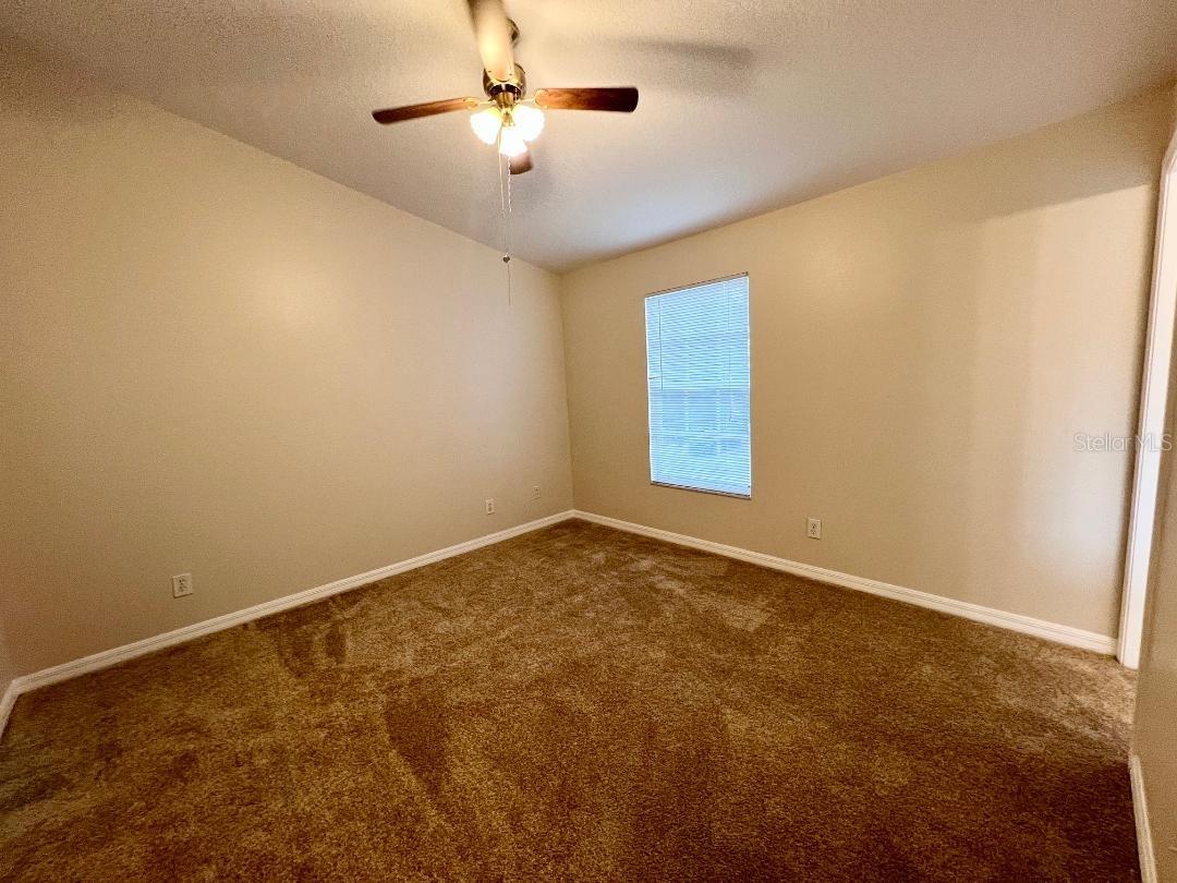 30202 SWINFORD LN — photo 19