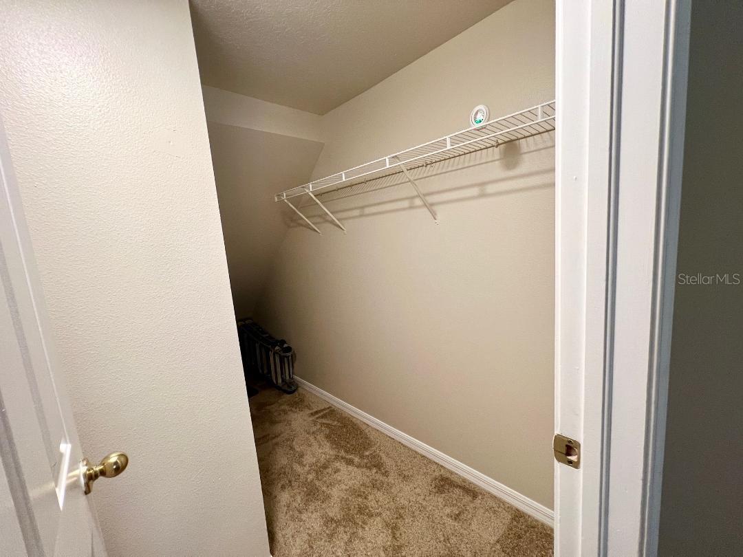 30202 SWINFORD LN — photo 9