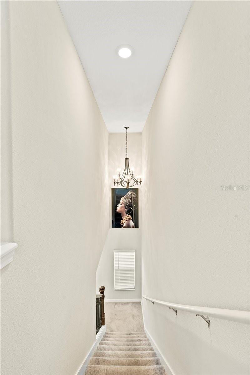 5517 APPLETON SHORE DR — photo 23