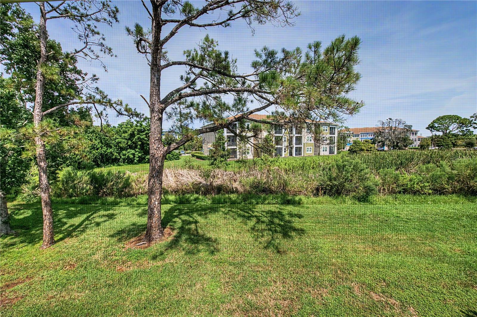2543 ROYAL PINES CIR #17K — photo 36