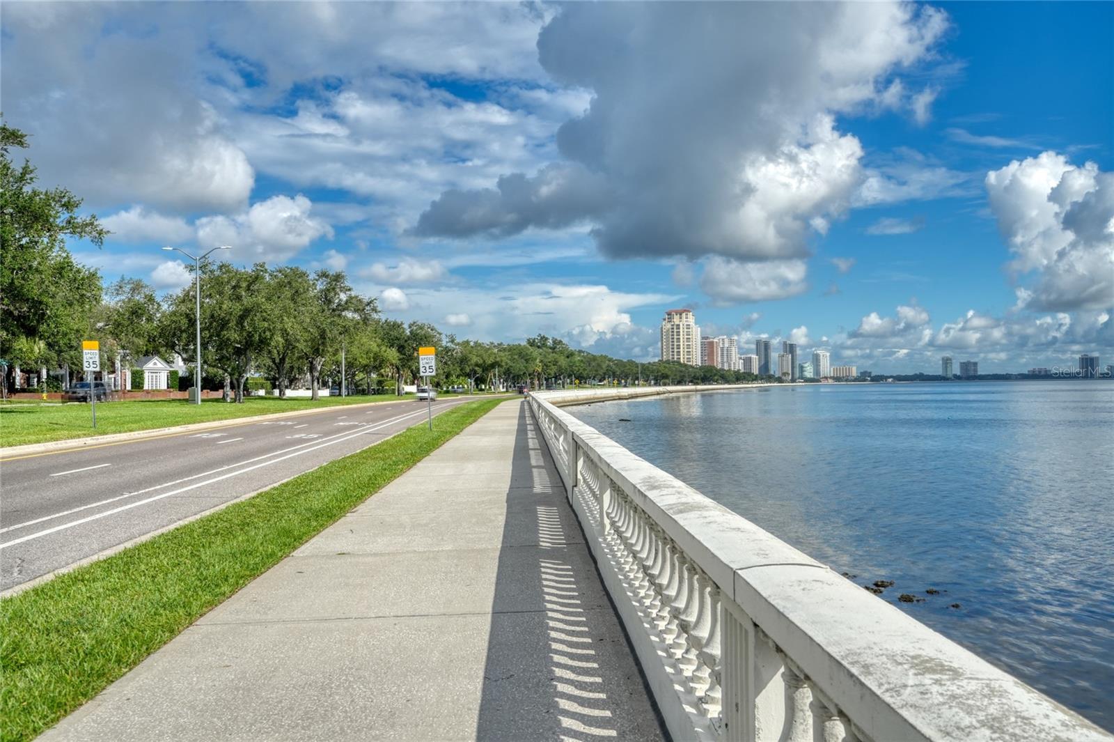 4950 BAYSHORE BLVD #16 — photo 43