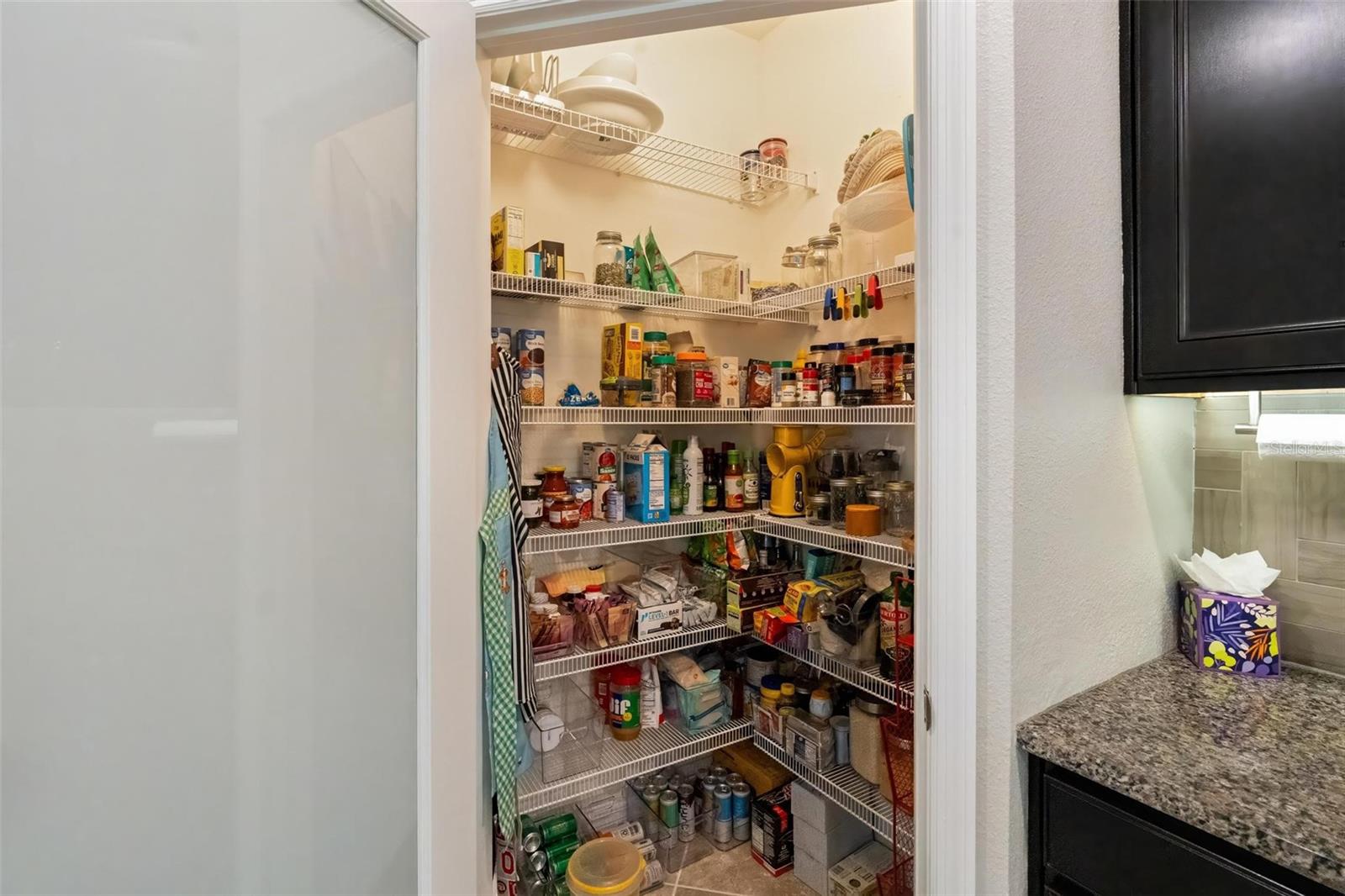 10321 RIVERDALE RISE DR — photo 32