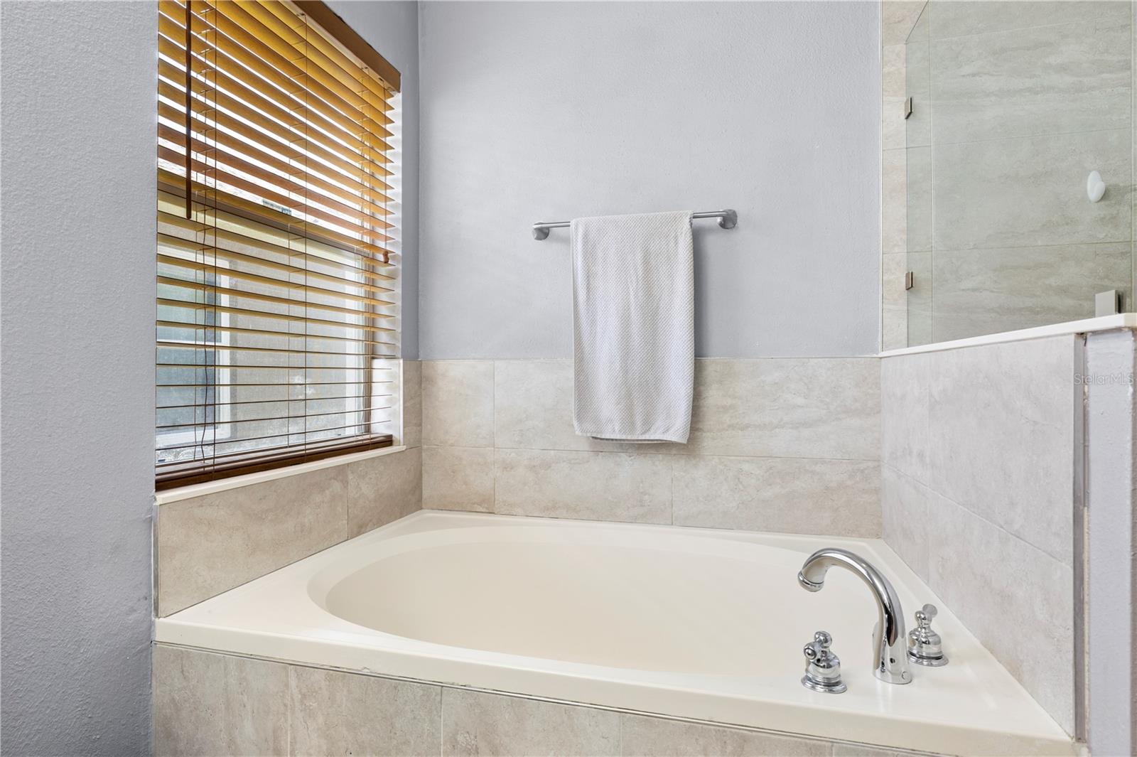 10148 SOMERSBY DR — photo 40